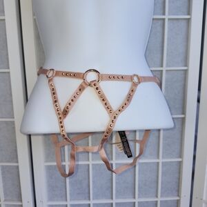 Victoria's Secret Blush Pink Harness